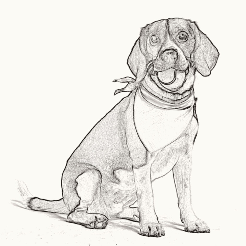 Charcoal drawing result