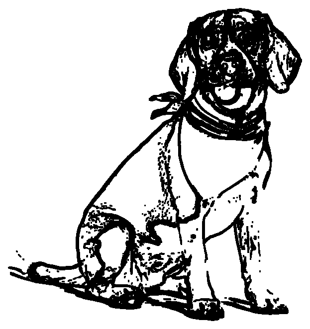 Coloring Page Generator