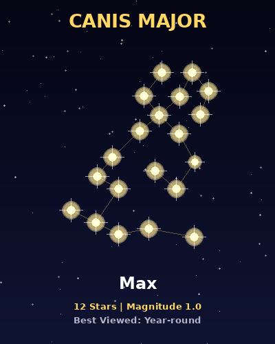 Pet constellation portrait