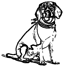 Pet Line Art Generator