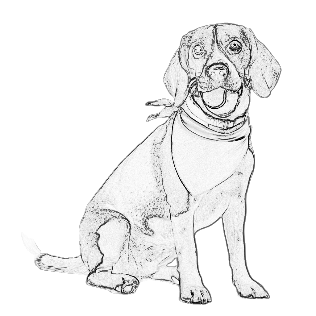 Pencil Sketch Result