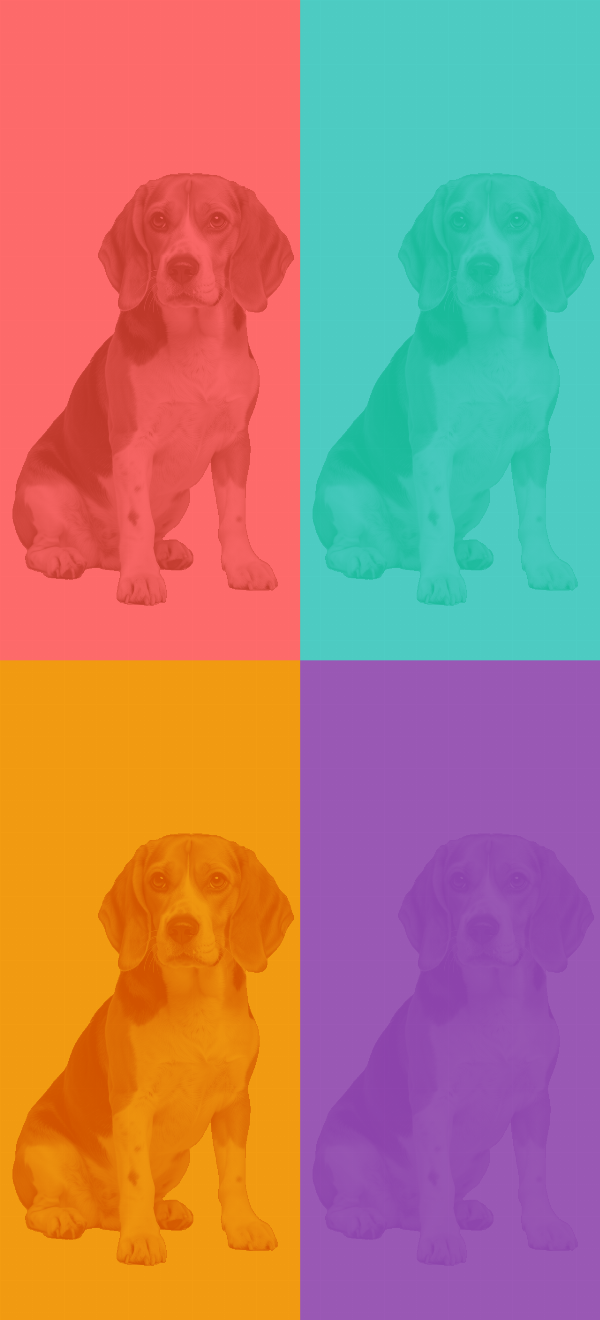 Pop Art Generator