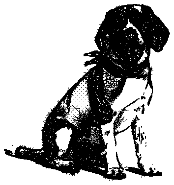 Woodcut Print Generator